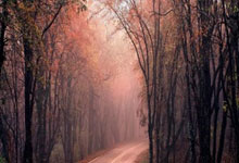 下注世界杯-中央网信办深入整治网络直播打赏乱象