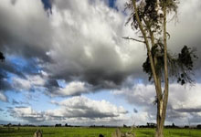 竞彩世界杯-护踝防护效果测试，第三方检测机构