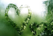 竞彩世界杯-护踝防护效果测试，第三方检测机构