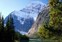 竞彩世界杯-专业力量与网络直播双向奔赴